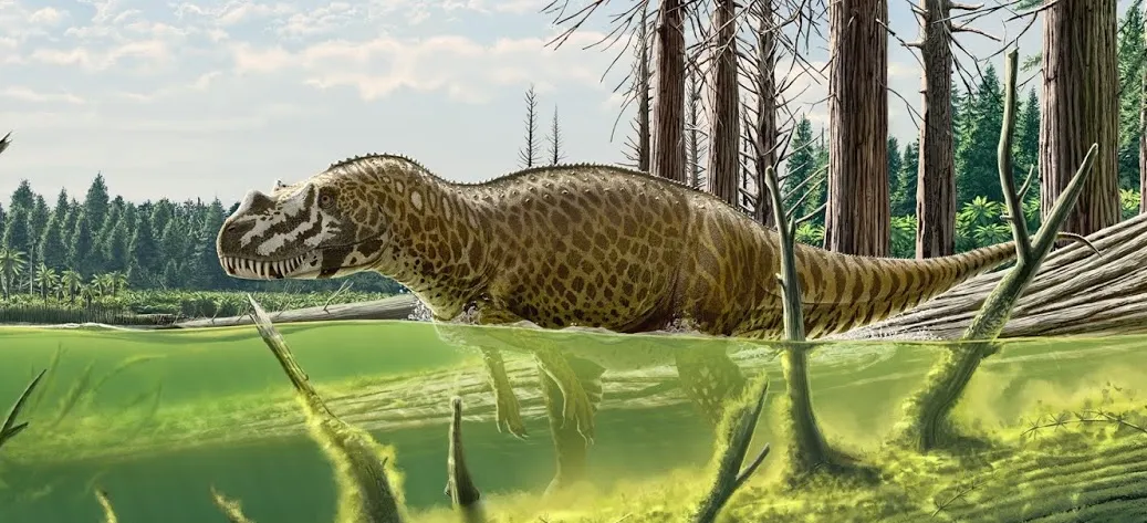 Ceratosaurus nasicornis