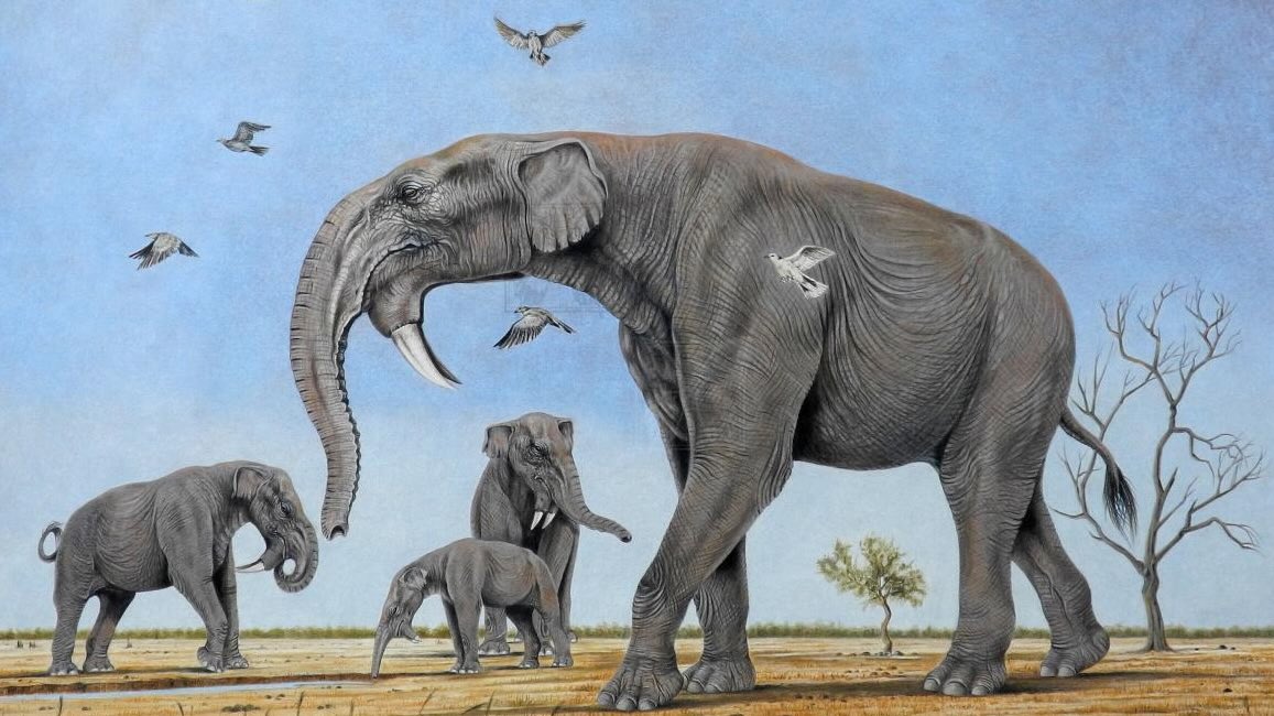 Deinotherium