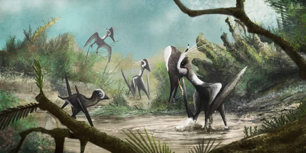 Pterodactyl antiquus