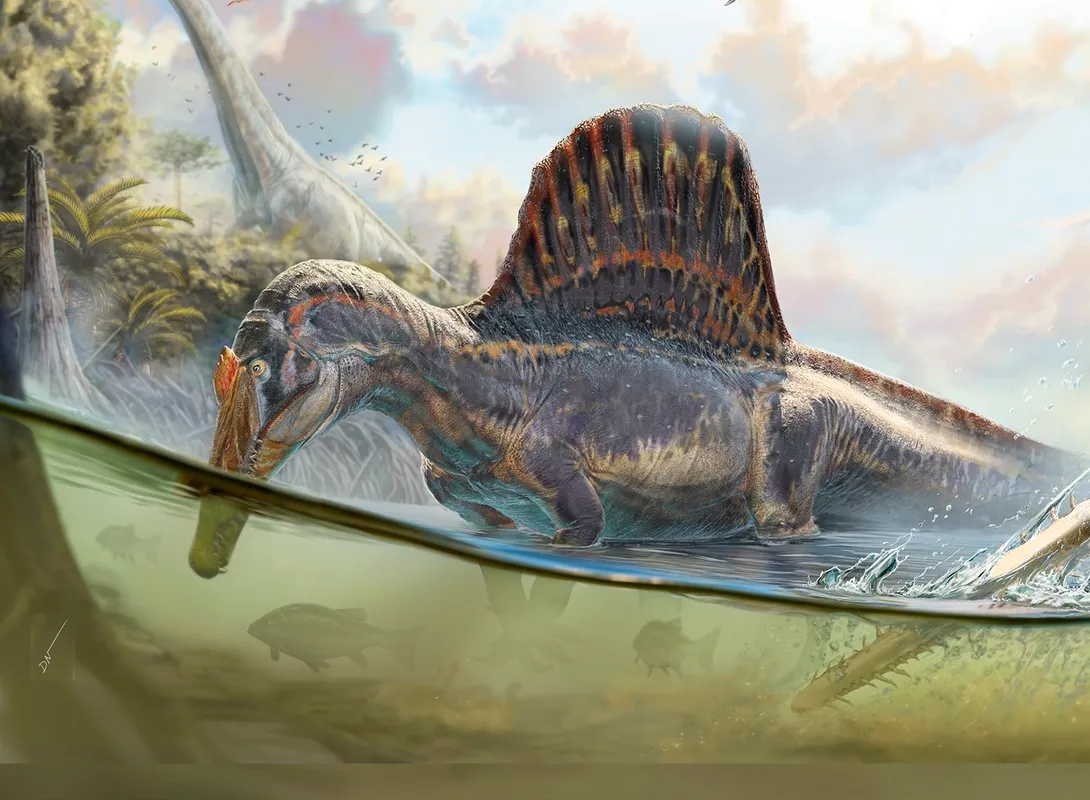 Spinosaurus maroccanus