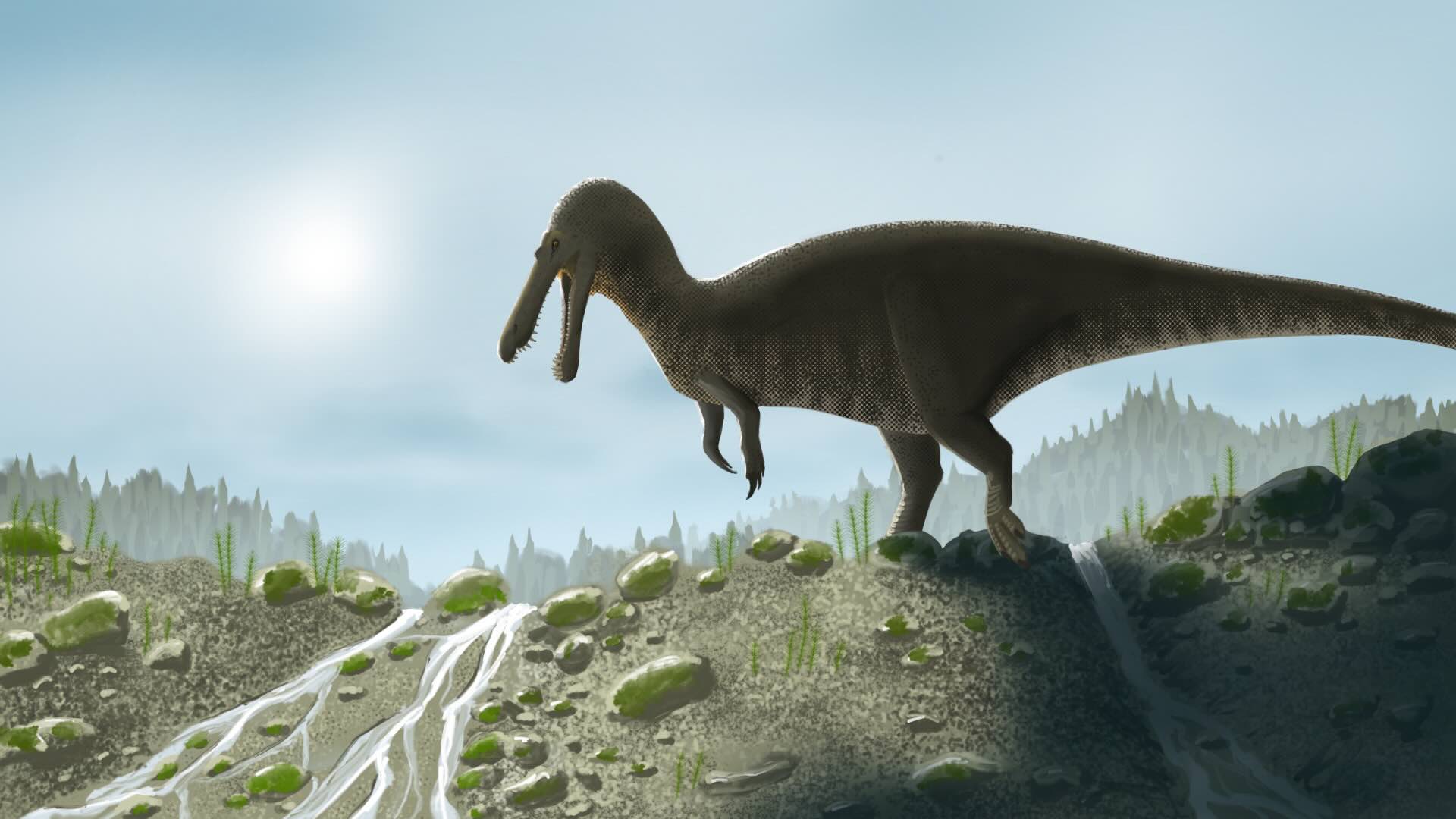Baryonyx walkeri