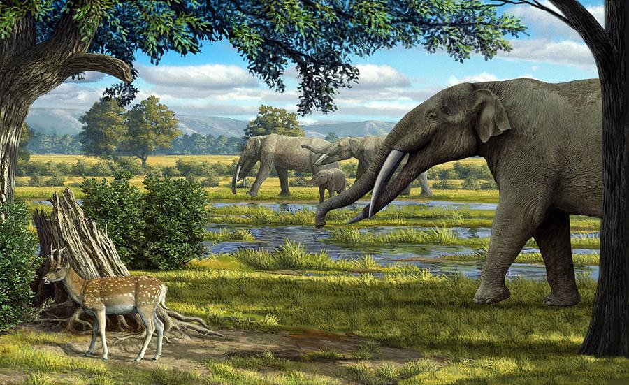 Early Mammals