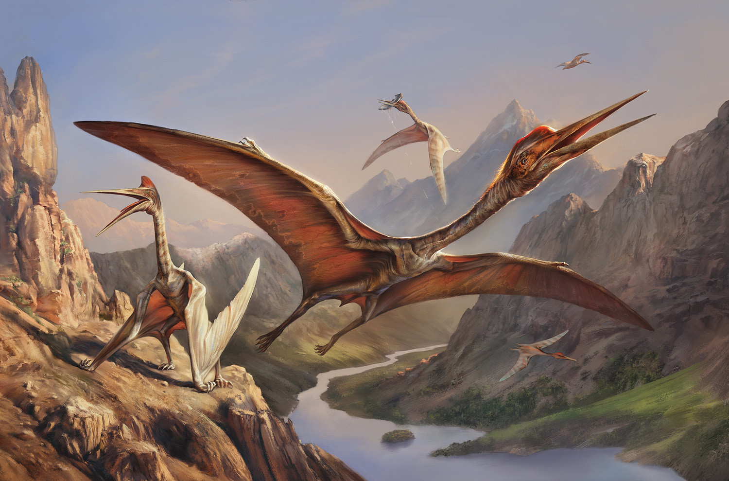 Flying Creatures