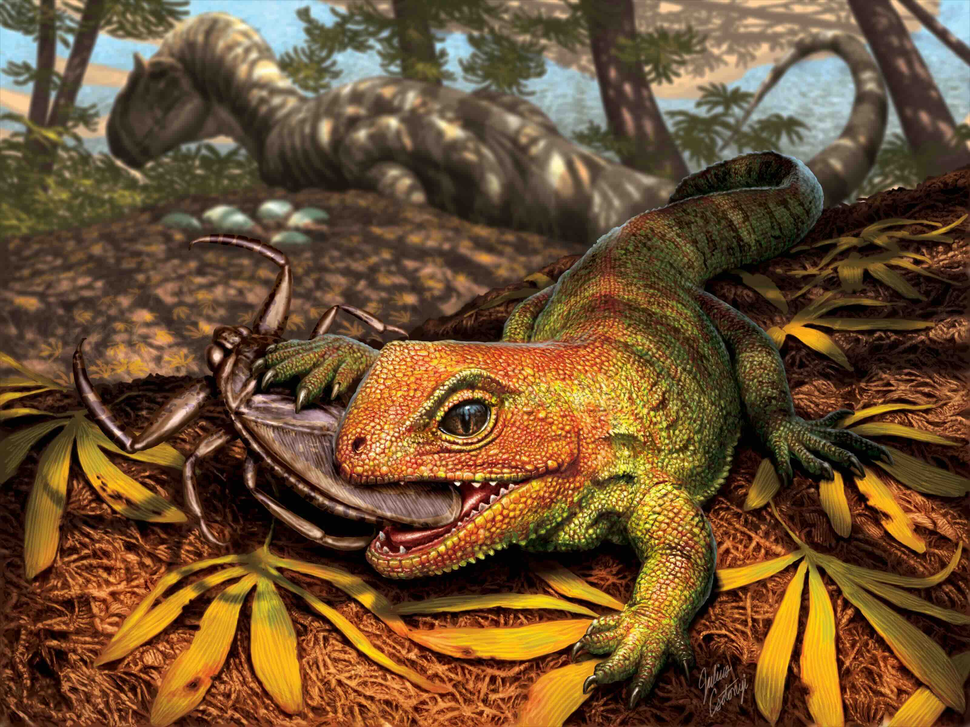 Prehistoric Reptiles