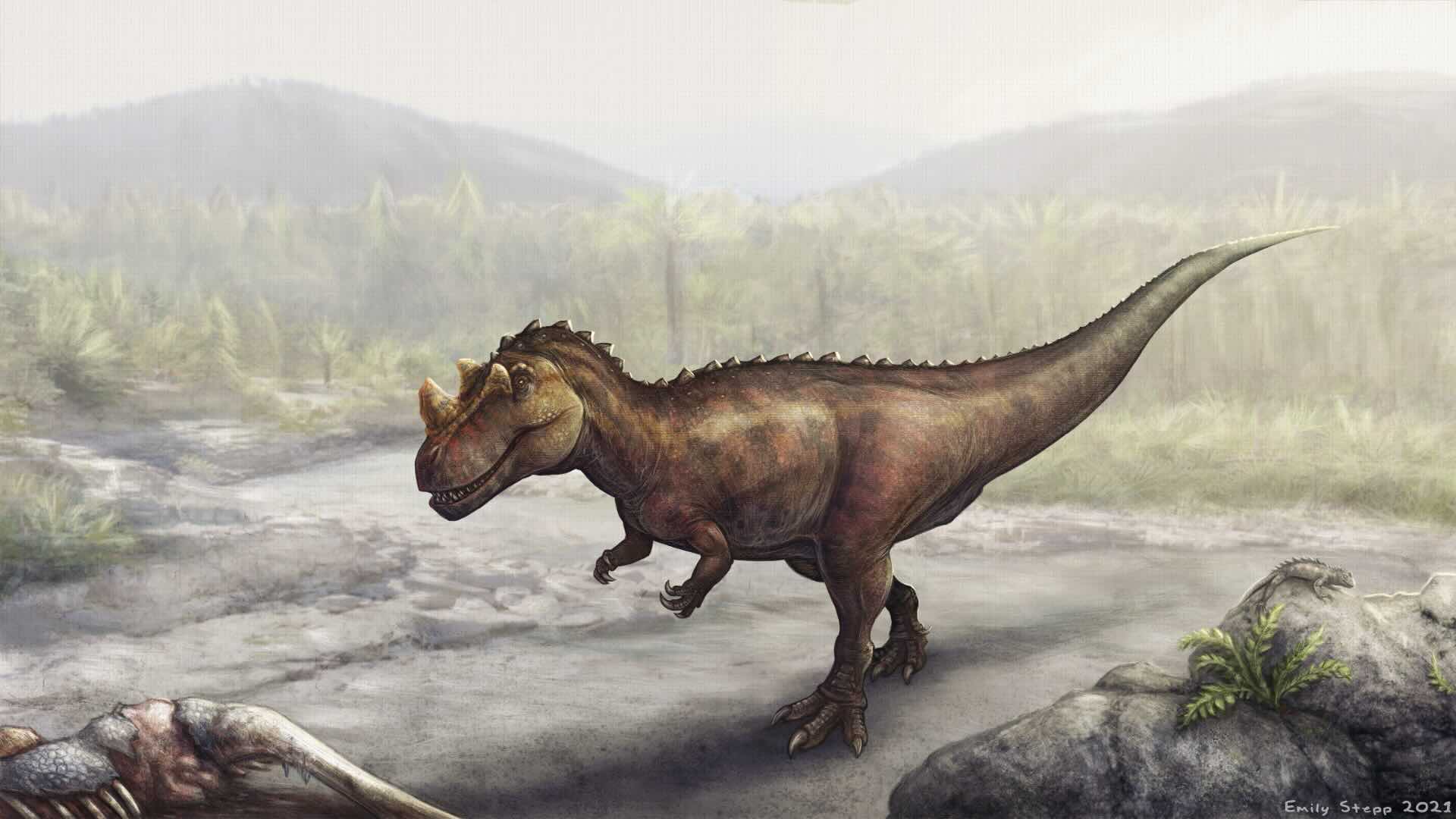 Ceratosaurus dentisulcatus