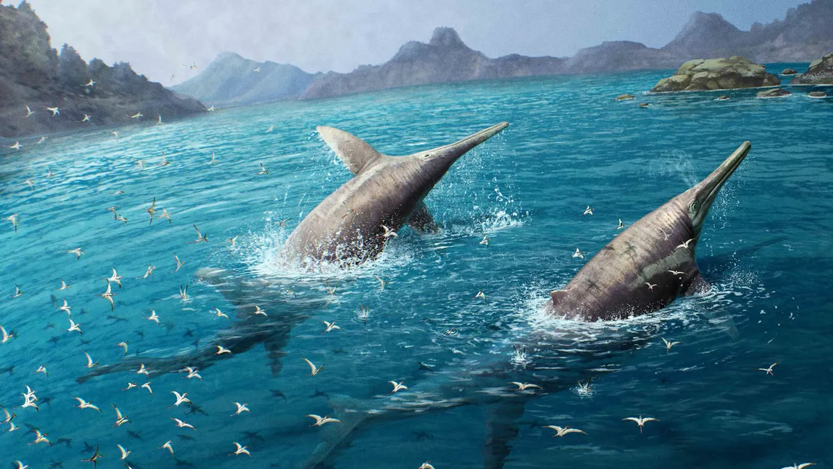 Ichthyotitan severnensis