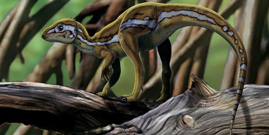 Micropachycephalosaurus hongtuyanensis