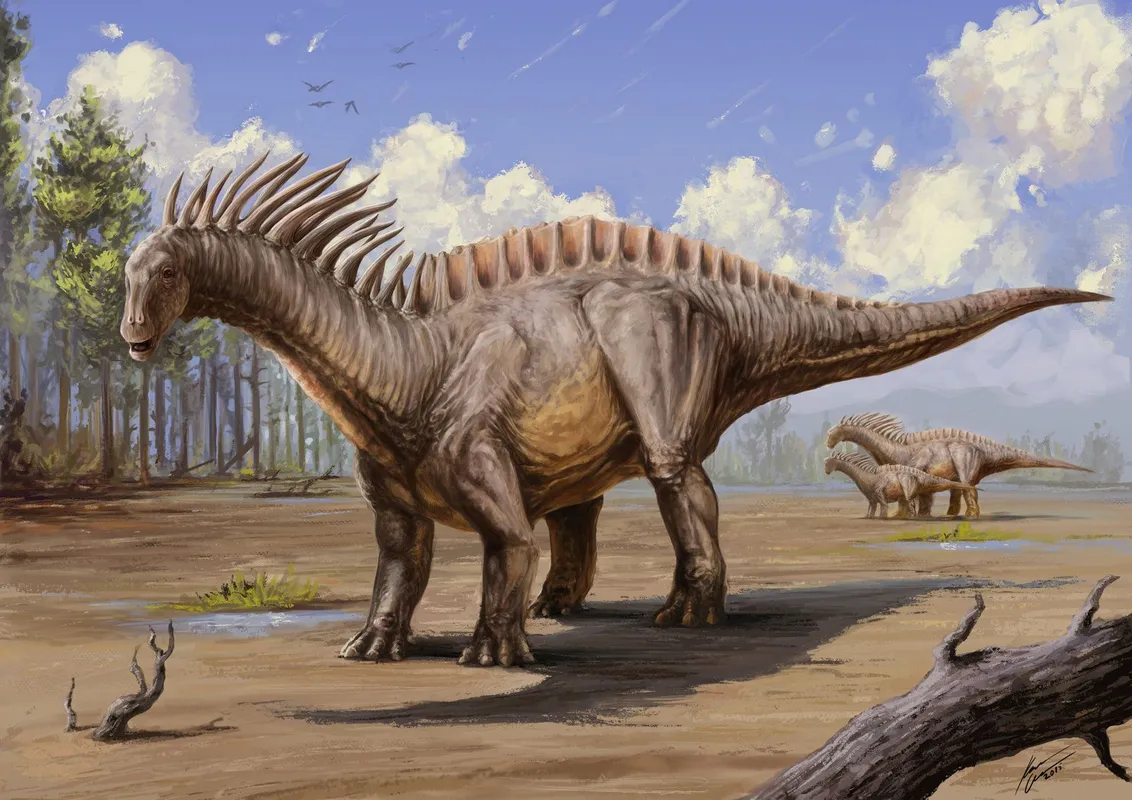 Amargasaurus cazaui