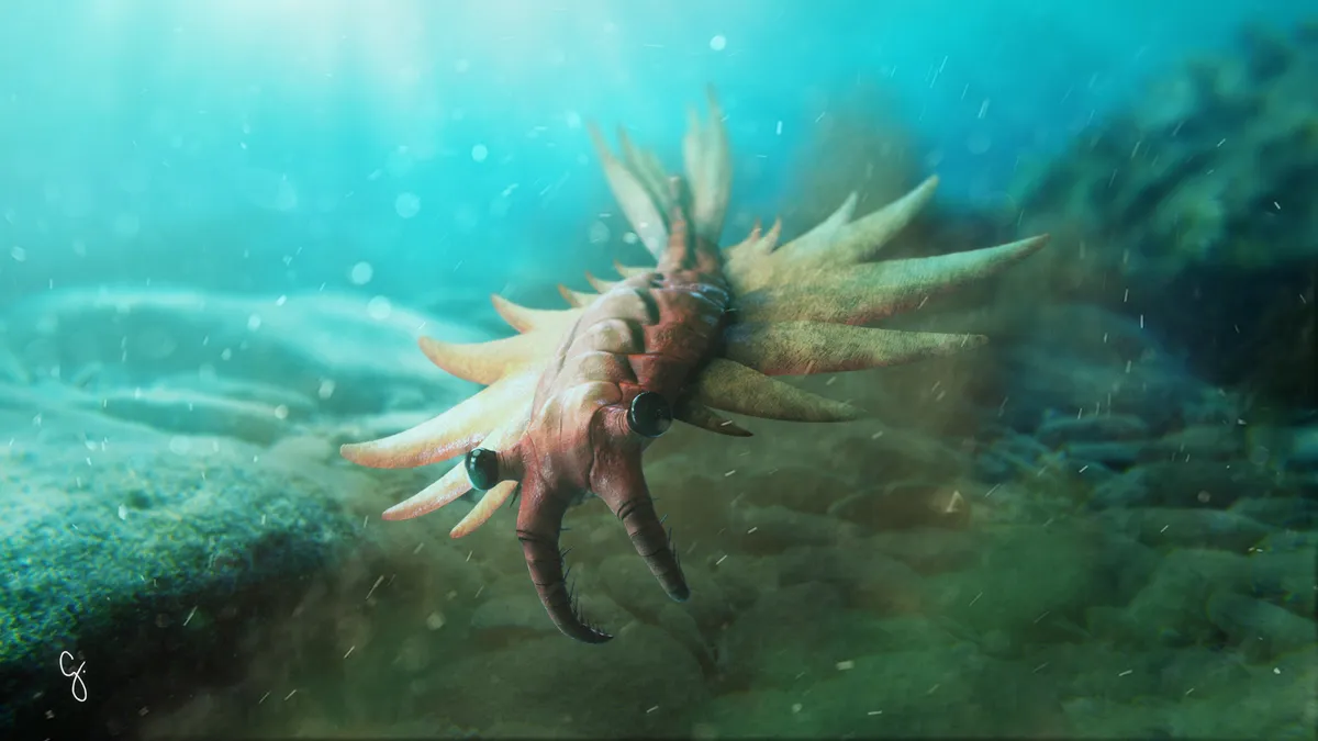 Anomalocaris canadensis