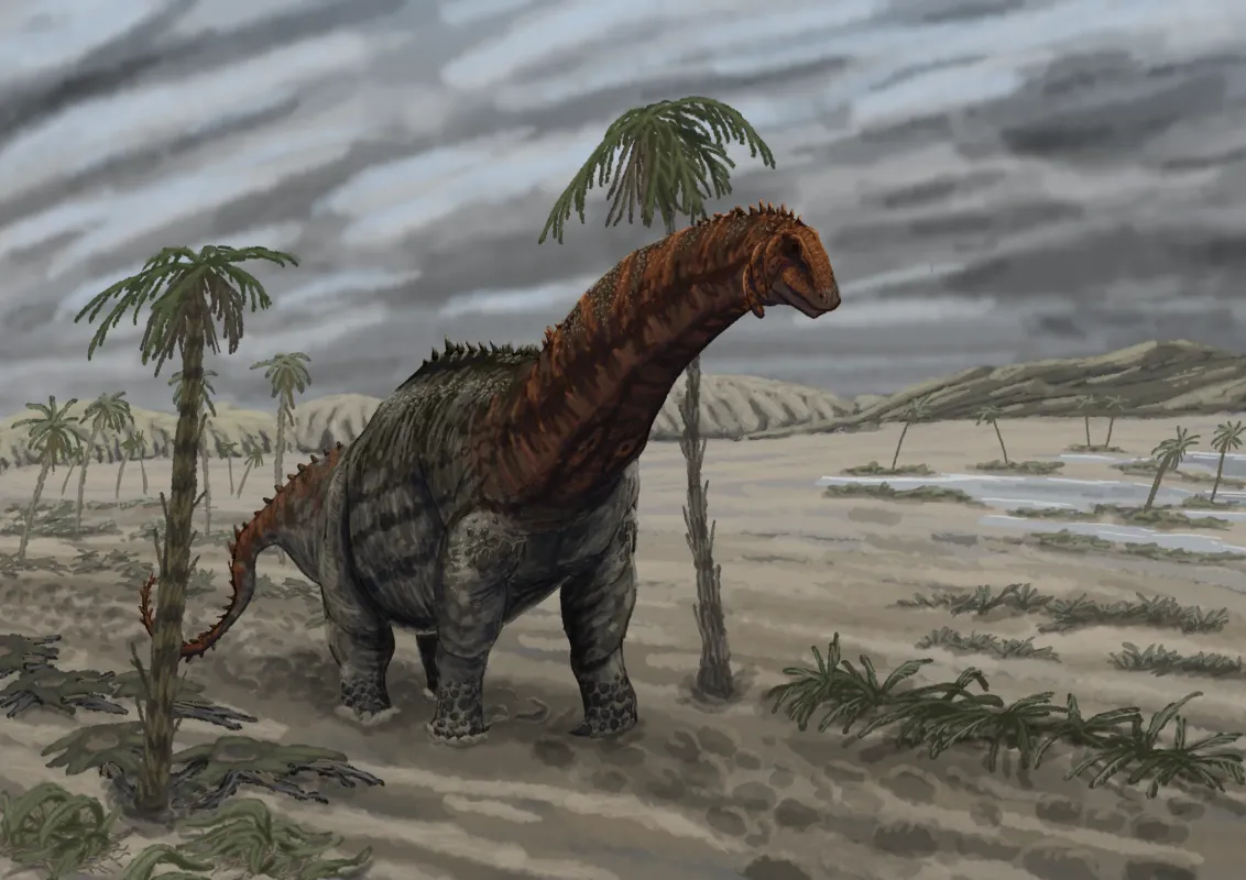 Brontosaurus excelsus