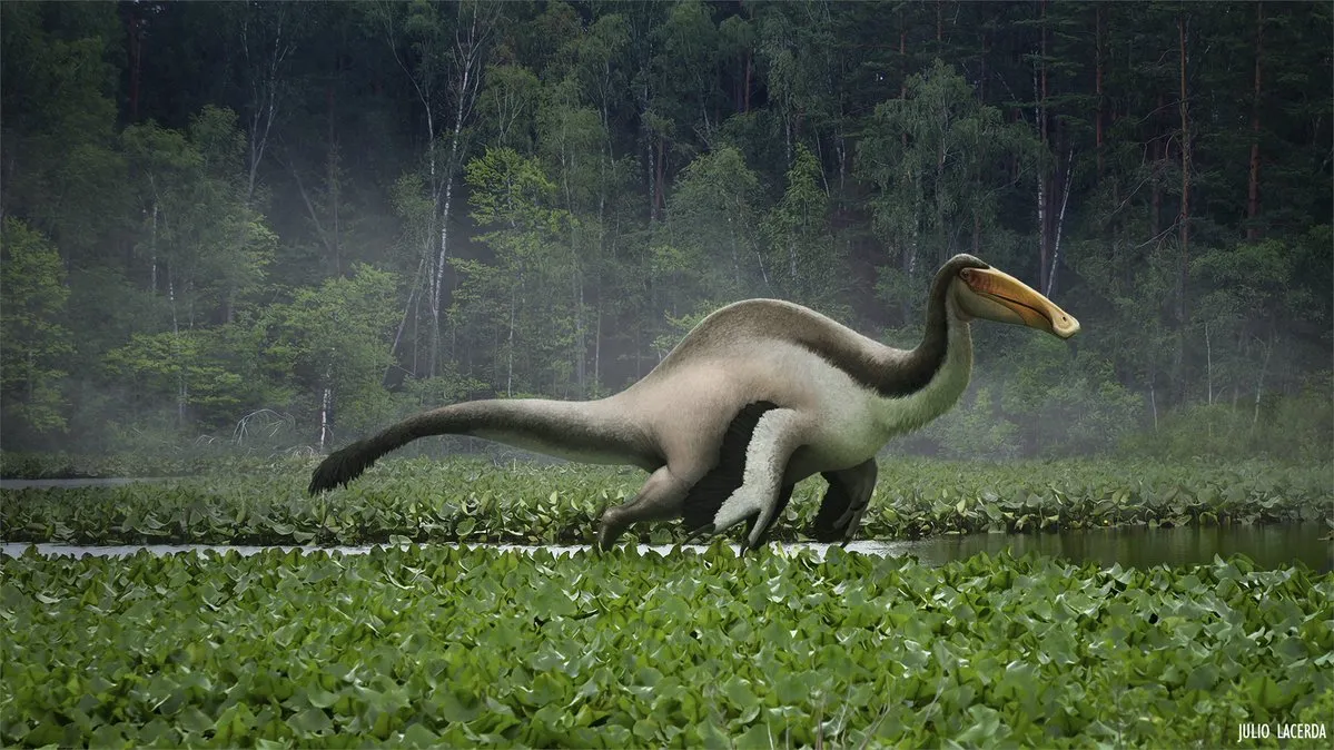 Deinocheirus mirificus