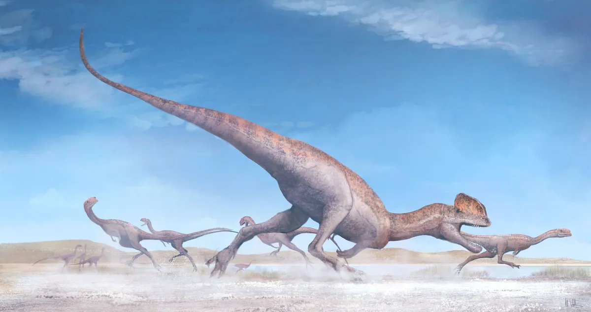Dilophosaurus wetherilli