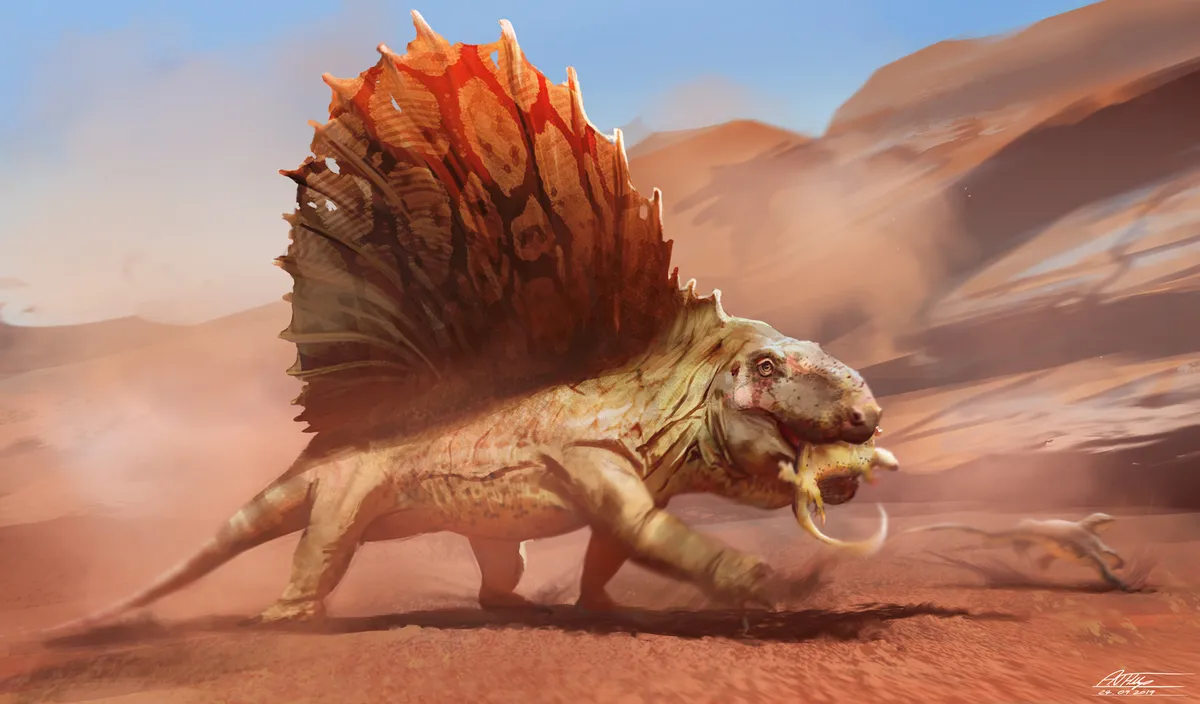 Dimetrodon limbatus