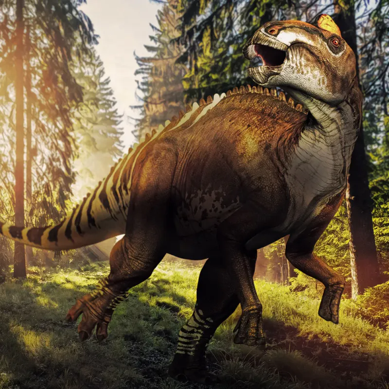 Hadrosaurus foulkii