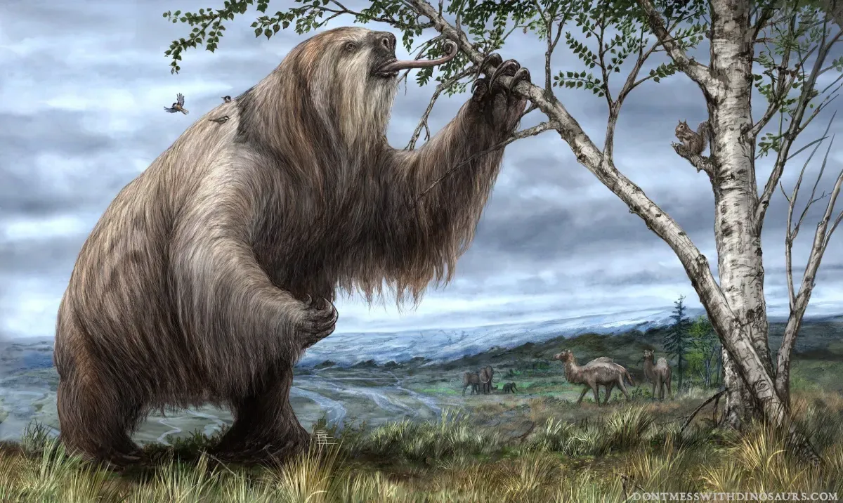 Megatherium americanum