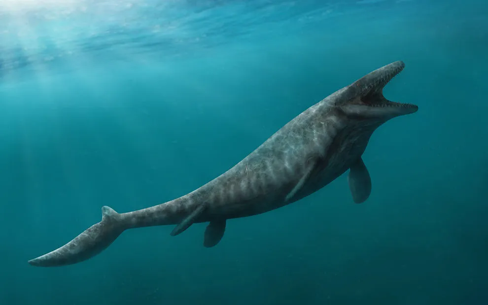 Mosasaurus hoffmannii