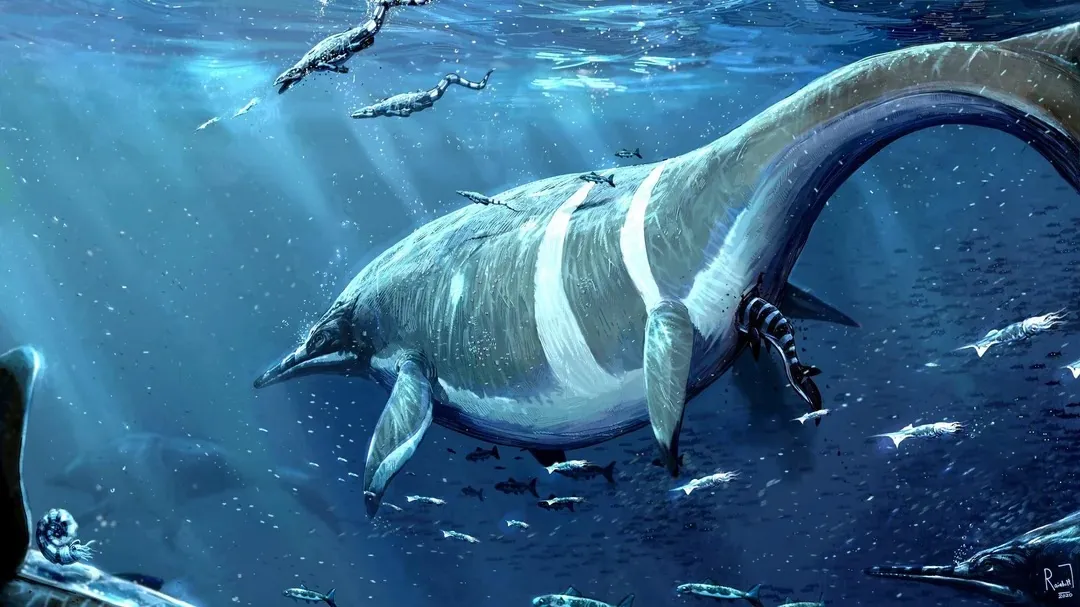 Shonisaurus popularis