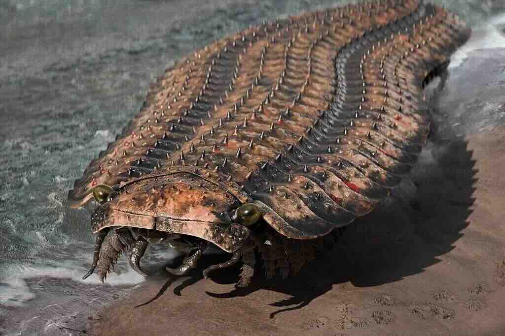 Prehistoric Super-Sized Insects