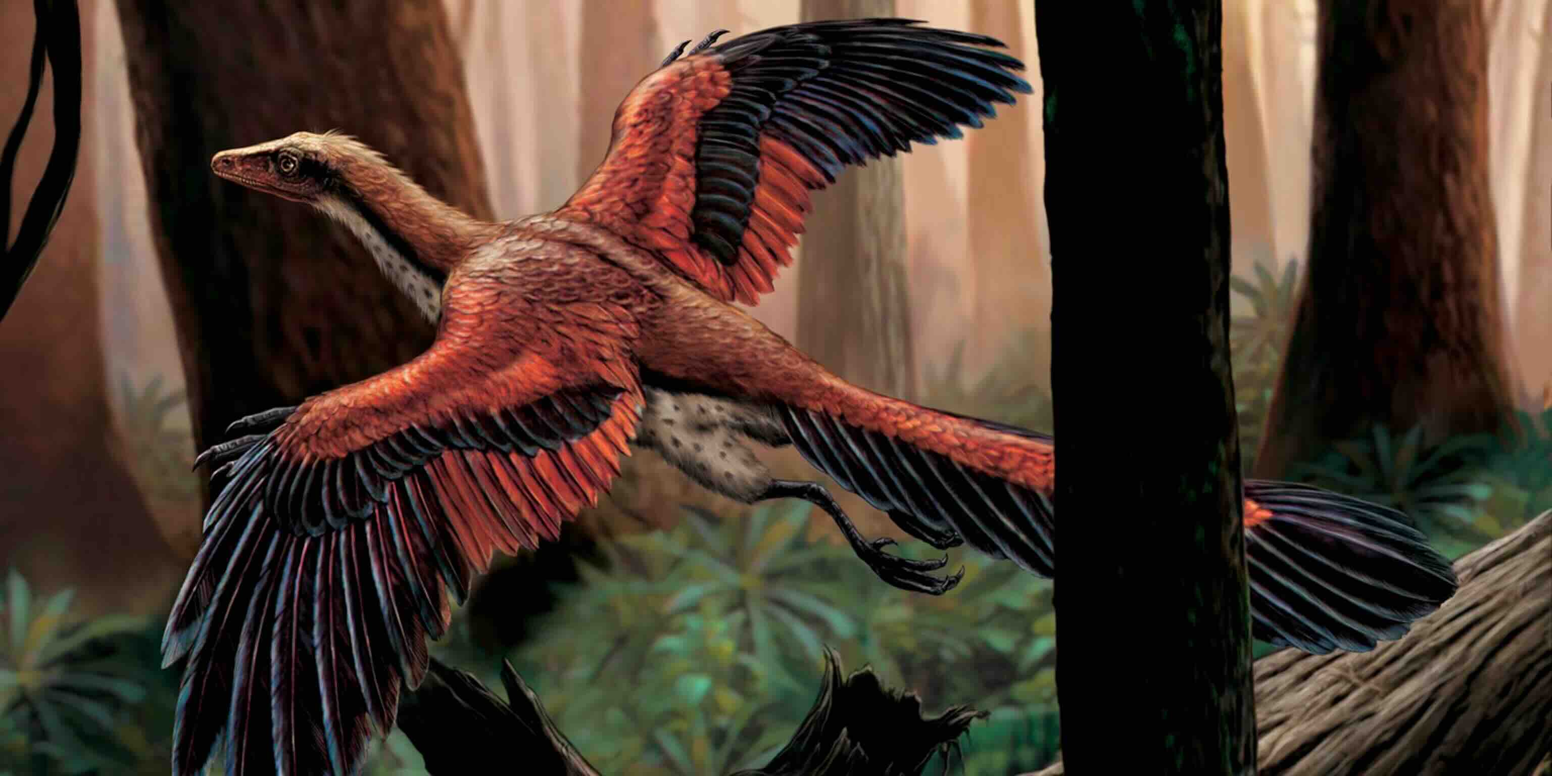 Birds Are Living Dinosaurs