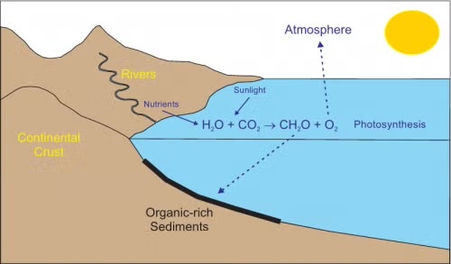 Earth's Oxygen Revolution