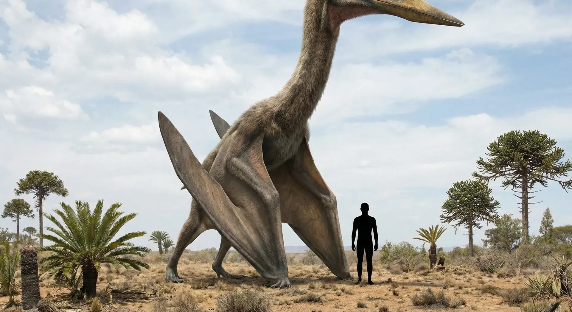 Largest Flying Animal Ever