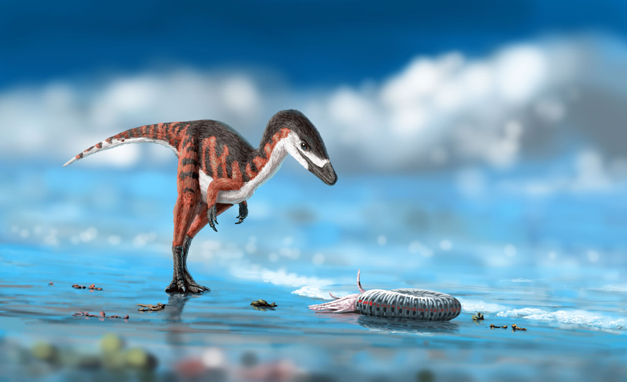 Not All Dinosaurs Were Giants