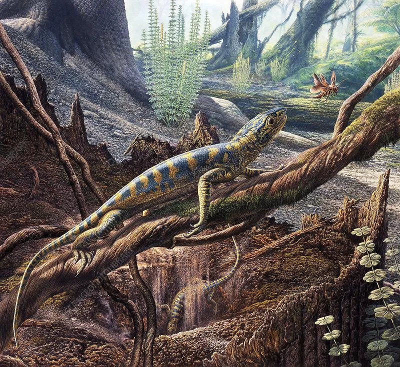 Hylonomus lyelli