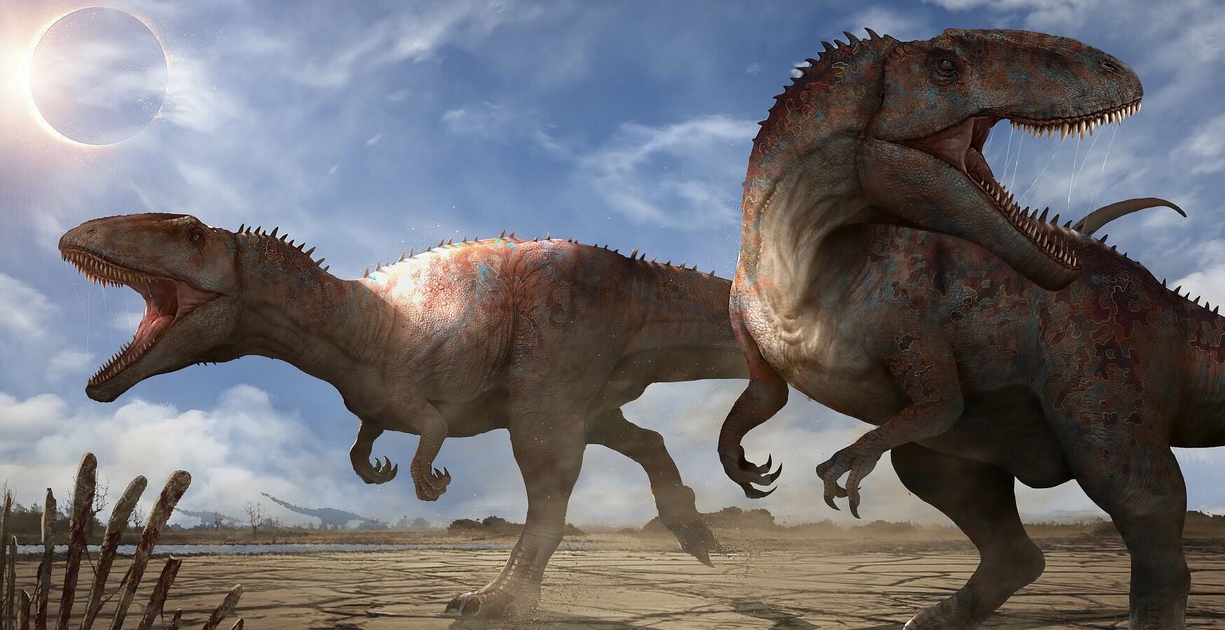 Carcharodontosaurus saharicus