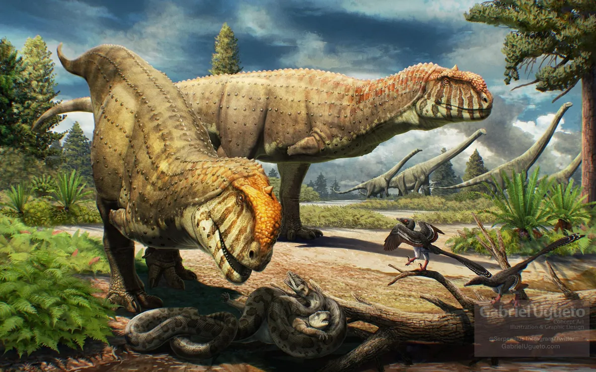 Majungasaurus crenatissimus