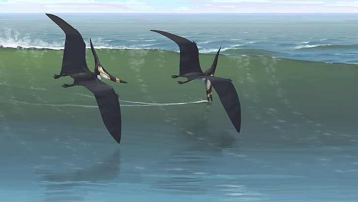 Pteranodon longiceps