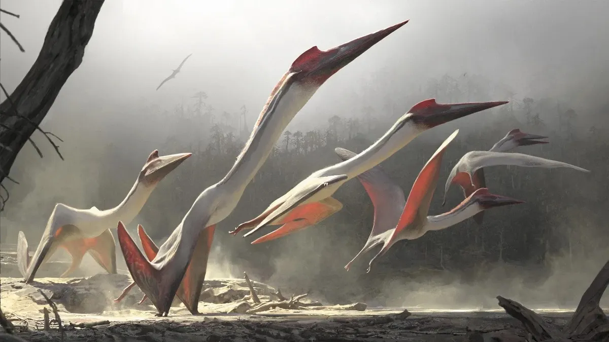 Quetzalcoatlus northropi