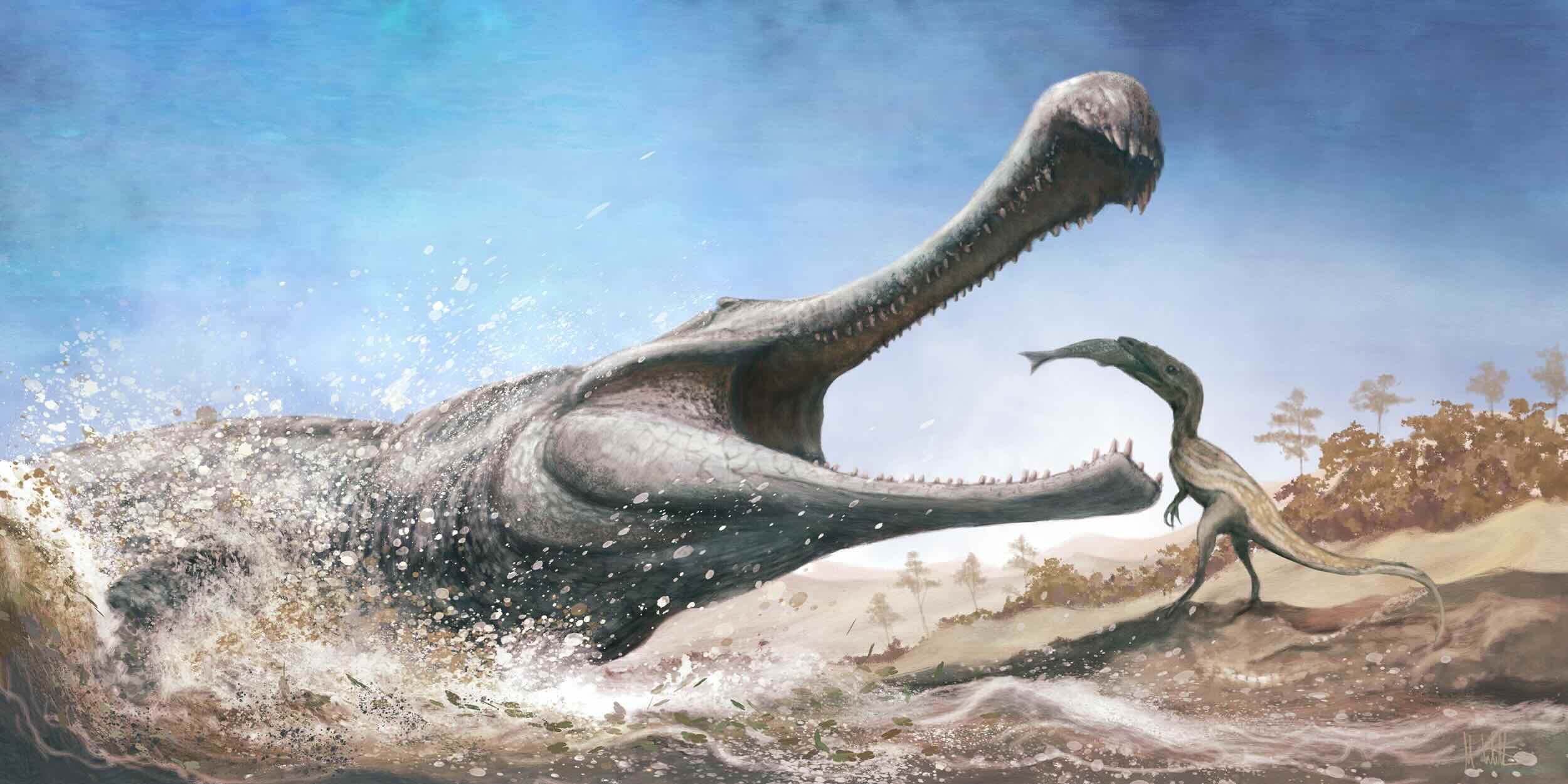 Sarcosuchus imperator