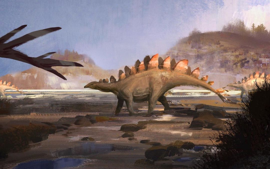 Stegosaurus stenops