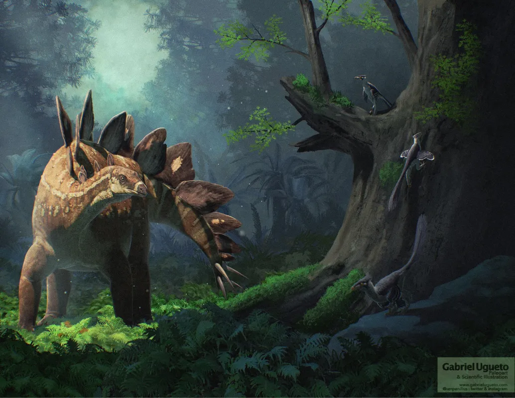 stegosaurus ungulatus