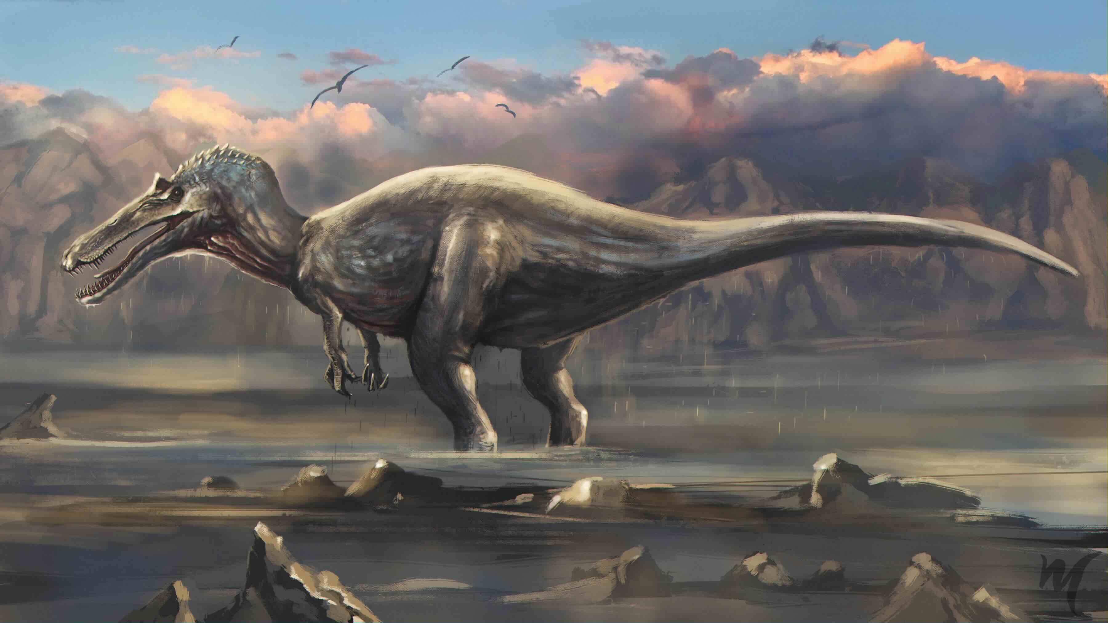 Suchomimus tenerensis
