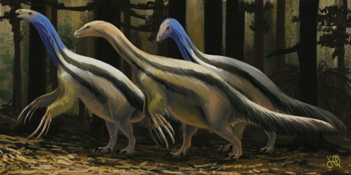 Therizinosaurus cheloniformis
