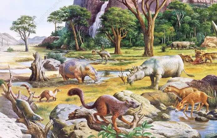 Paleogene