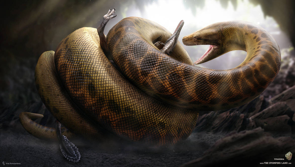 Titanoboa Cerrejonensis