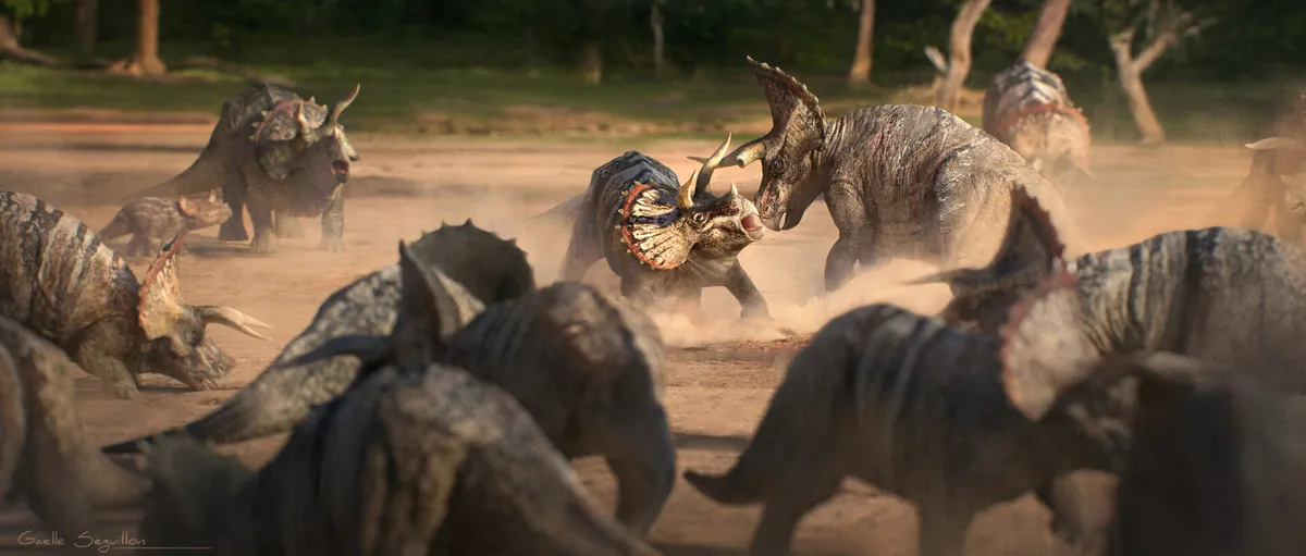 Triceratops horridus