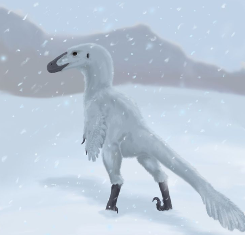 Troodon formosus