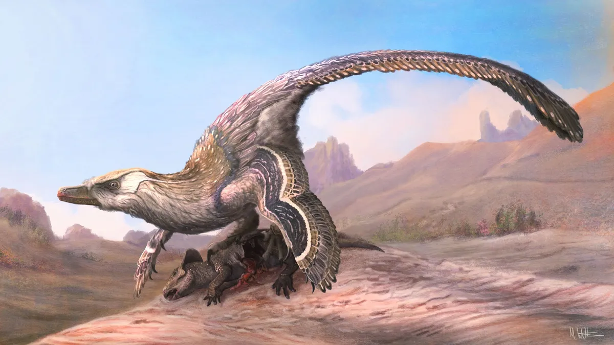 Velociraptor mongoliensis